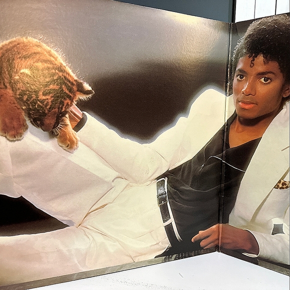 Michael Jackson 1982 "Thriller" Master Pressing 12" Vinyl LP Gatefold VERY RARE - Picture 2 of 10